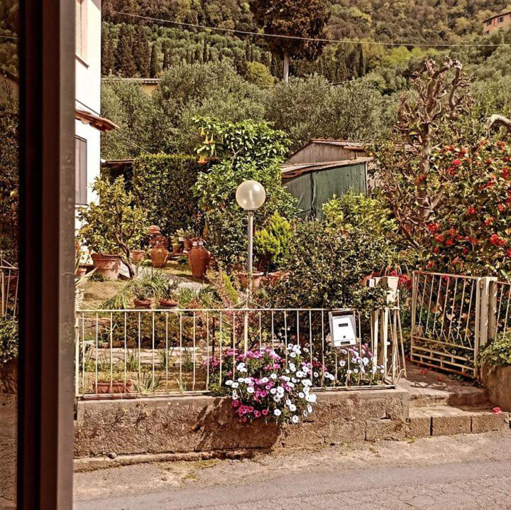 Casa Vacanze Toscana,Lago Di Massaciuccoli Exterior foto