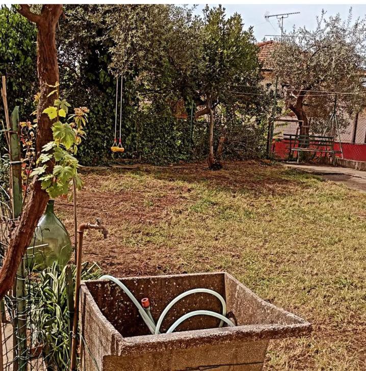 Casa Vacanze Toscana,Lago Di Massaciuccoli Exterior foto