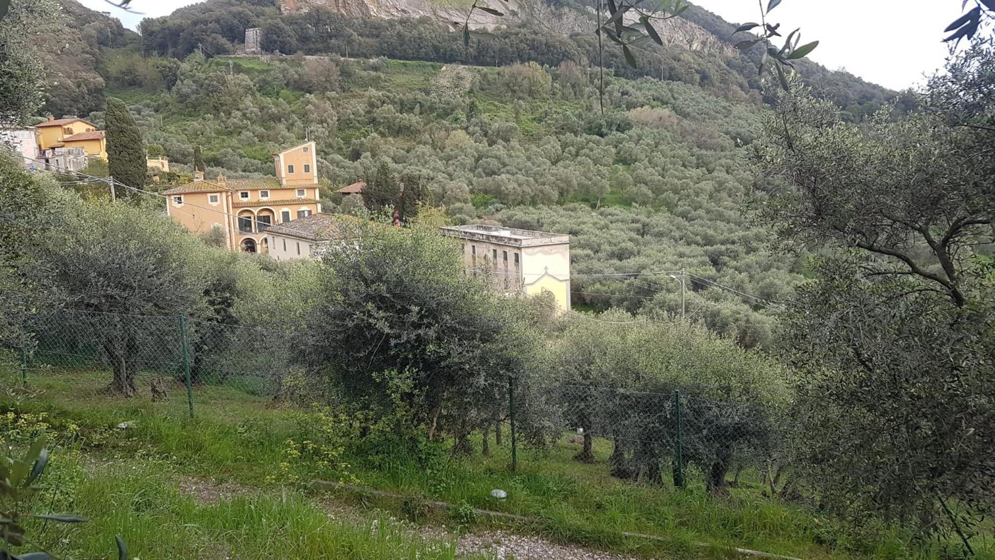 Casa Vacanze Toscana,Lago Di Massaciuccoli Exterior foto